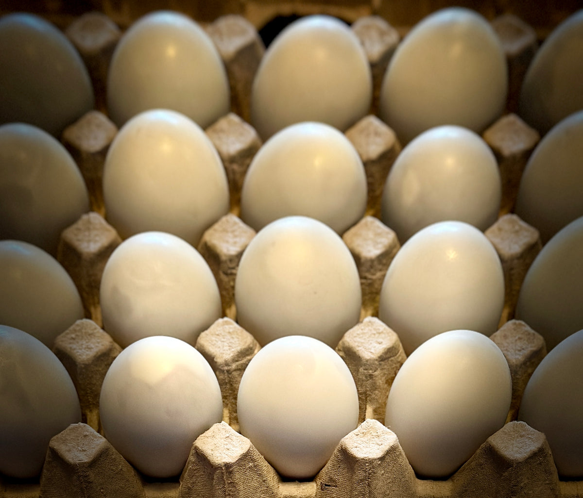 Balut/Balot 6pcs.