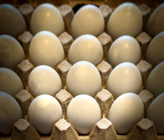 Balut/Balot 1pc. (Cooked)
