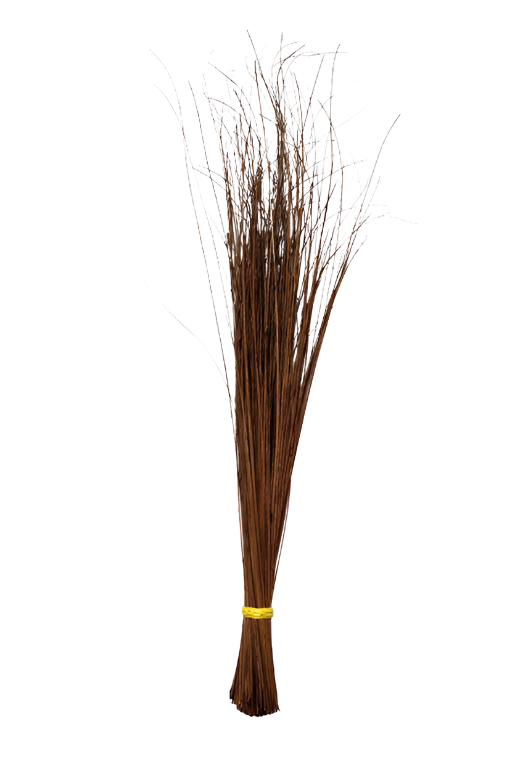 Walis Tingting/Sweeping Broom (FOR PICK-UP ONLY)